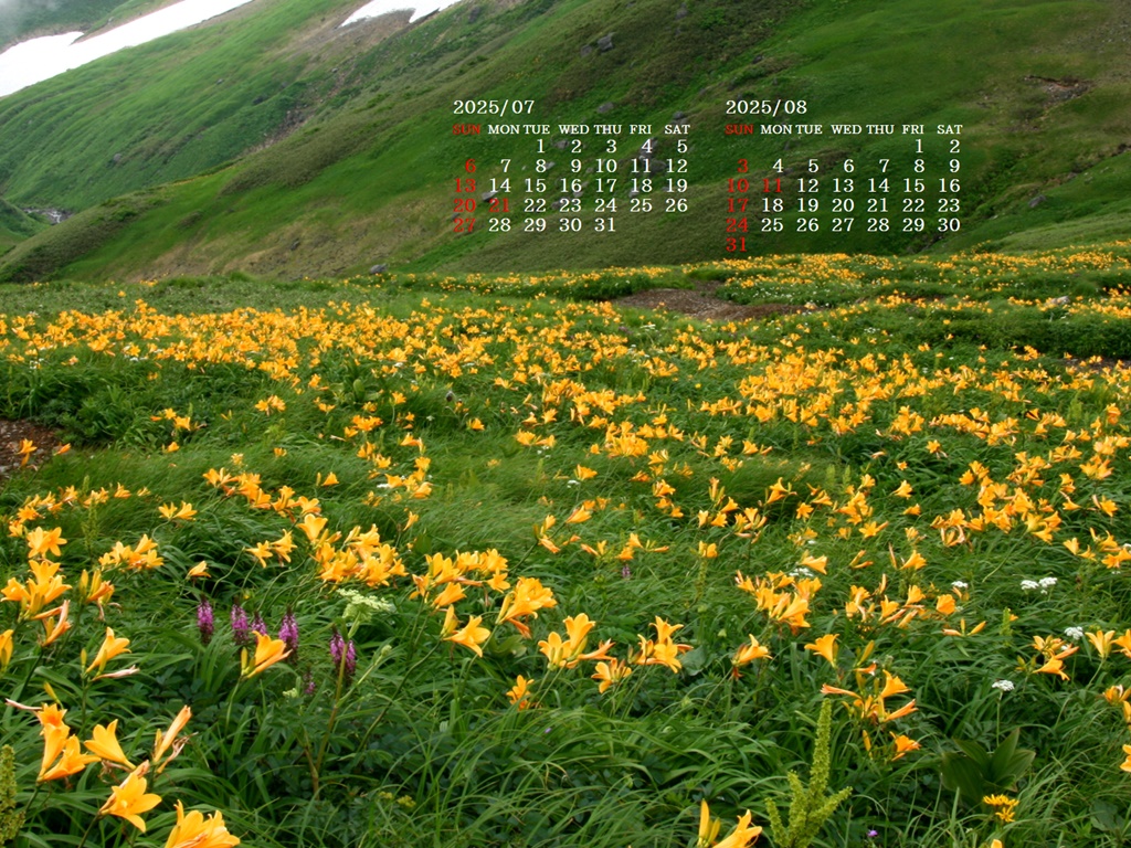 摜̏ŉENbNāuǎɐݒvAj[ɂȂꍇ͂摜ۑĉB