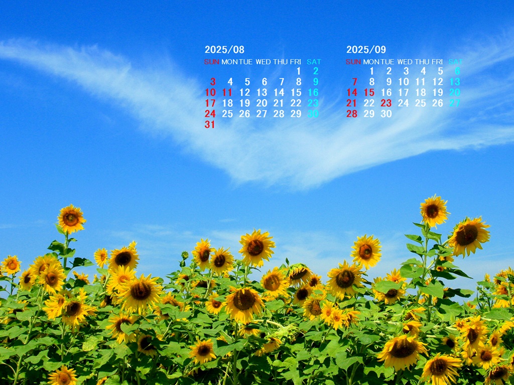 摜̏ŉENbNāuǎɐݒvAj[ɂȂꍇ͂摜ۑĉB