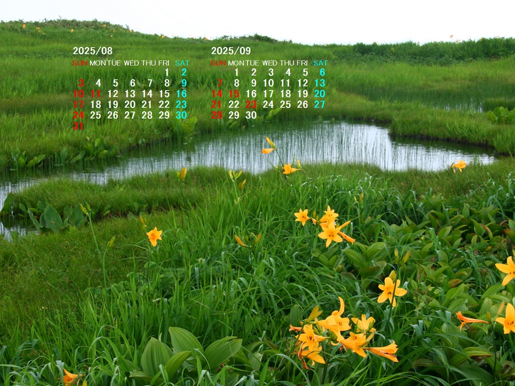 摜̏ŉENbNāuǎɐݒvAj[ɂȂꍇ͂摜ۑĉB