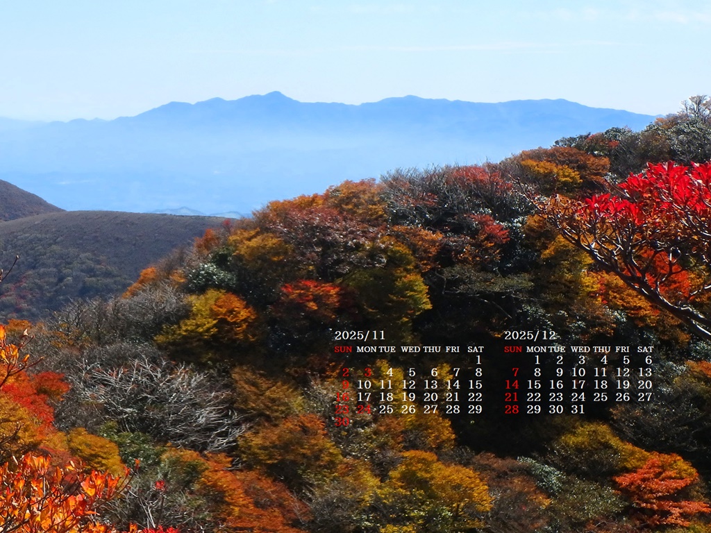 摜̏ŉENbNāuǎɐݒvAj[ɂȂꍇ͂摜ۑĉB