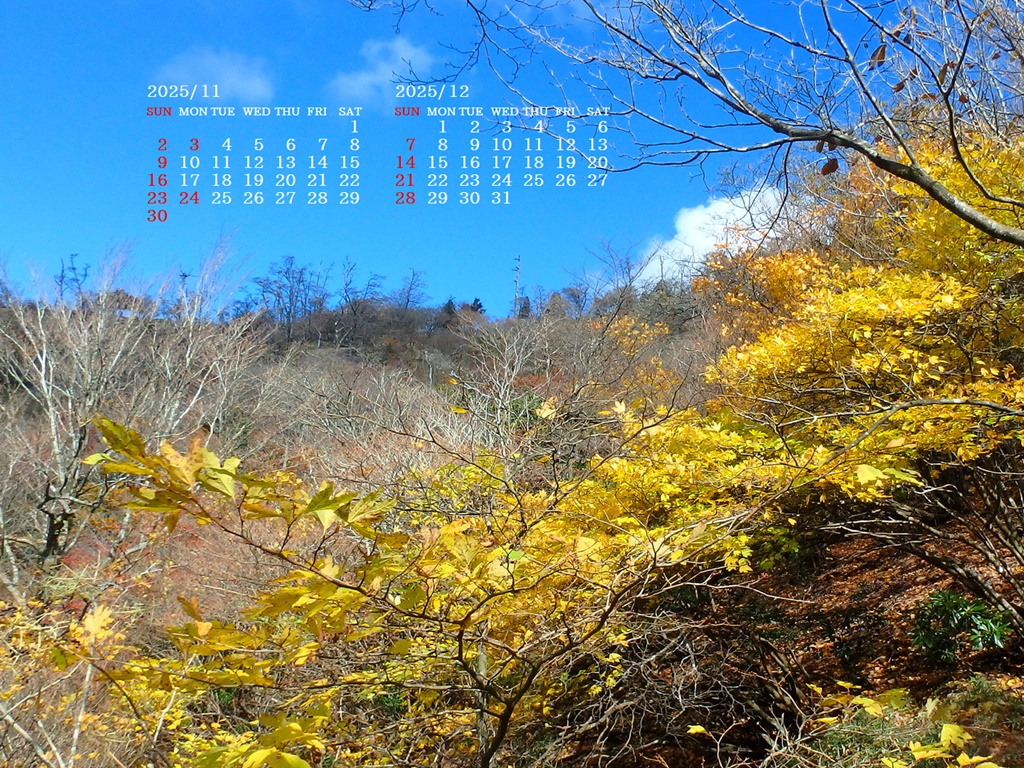 摜̏ŉENbNāuǎɐݒvAj[ɂȂꍇ͂摜ۑĉB