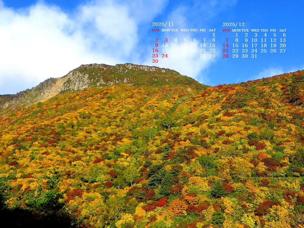 摜̏ŉENbNāuǎɐݒvAj[ɂȂꍇ͂摜ۑĉB