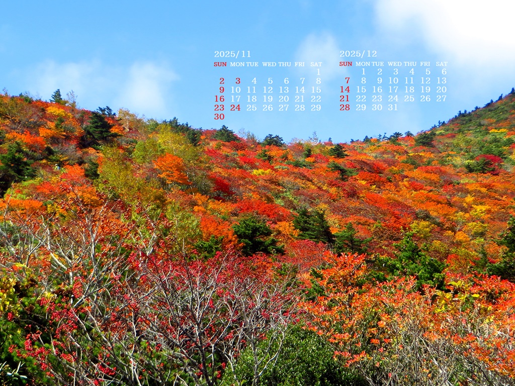 摜̏ŉENbNāuǎɐݒvAj[ɂȂꍇ͂摜ۑĉB