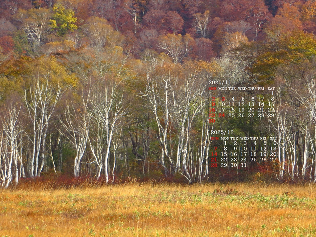 摜̏ŉENbNāuǎɐݒvAj[ɂȂꍇ͂摜ۑĉB