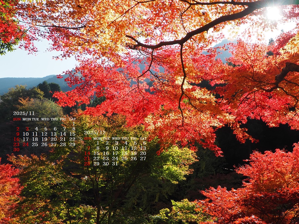 摜̏ŉENbNāuǎɐݒvAj[ɂȂꍇ͂摜ۑĉB