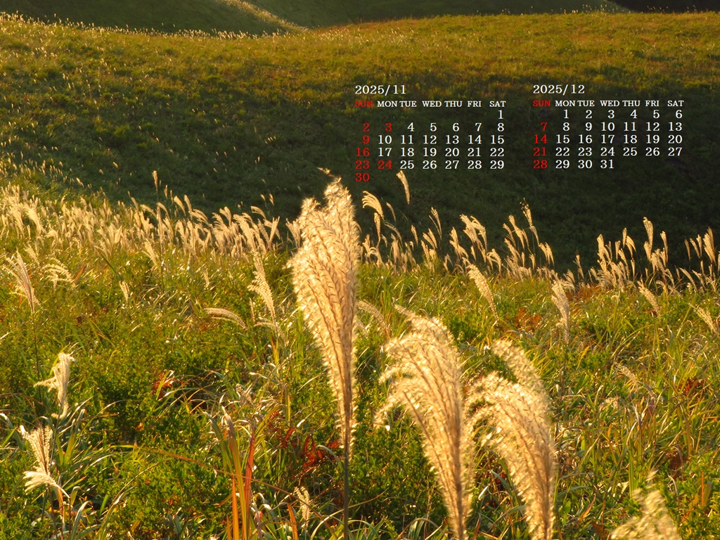 摜̏ŉENbNāuǎɐݒvAj[ɂȂꍇ͂摜ۑĉB