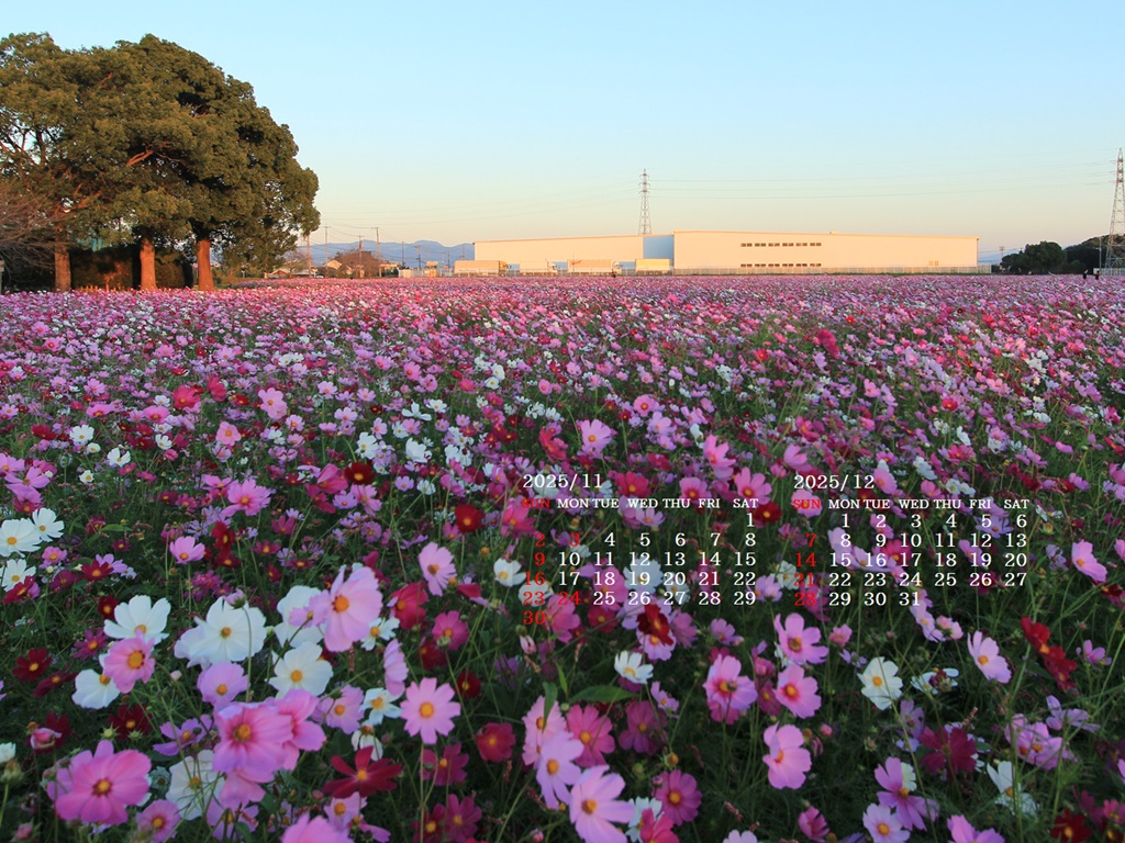 摜̏ŉENbNāuǎɐݒvAj[ɂȂꍇ͂摜ۑĉB