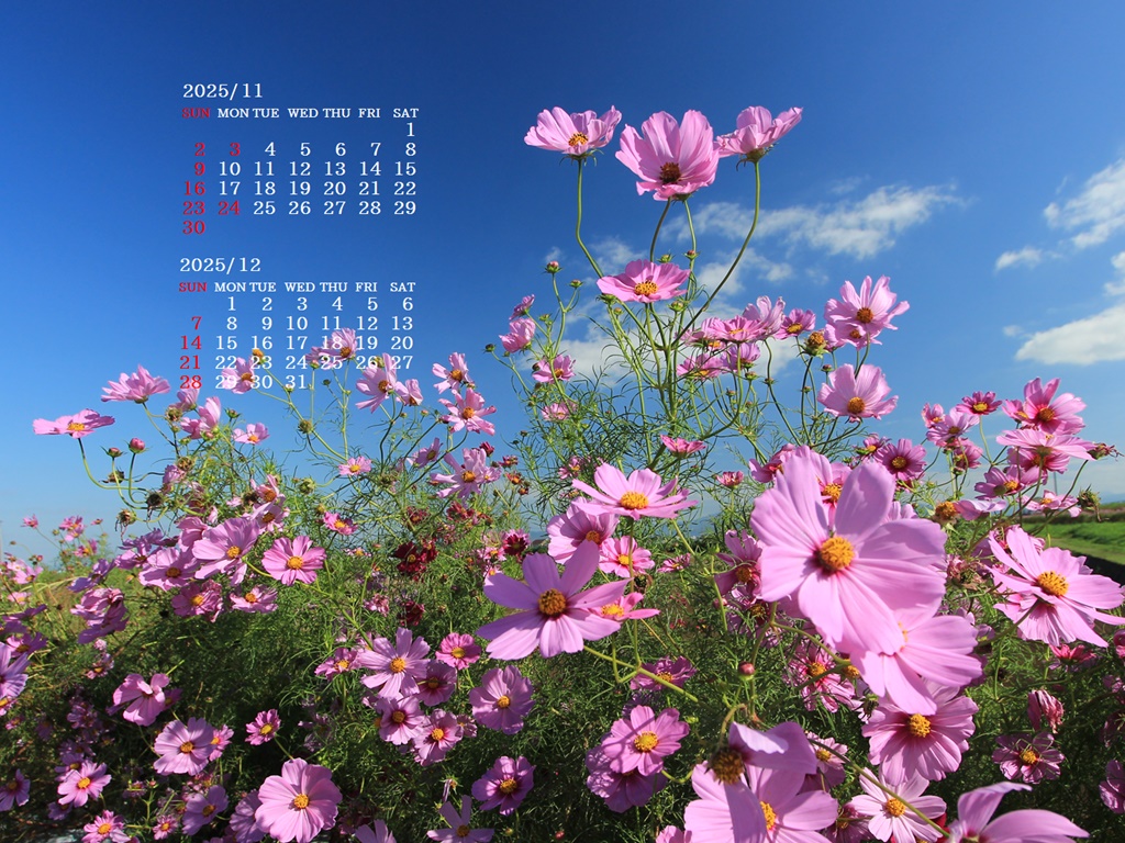 摜̏ŉENbNāuǎɐݒvAj[ɂȂꍇ͂摜ۑĉB