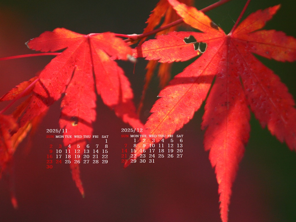 摜̏ŉENbNāuǎɐݒvAj[ɂȂꍇ͂摜ۑĉB