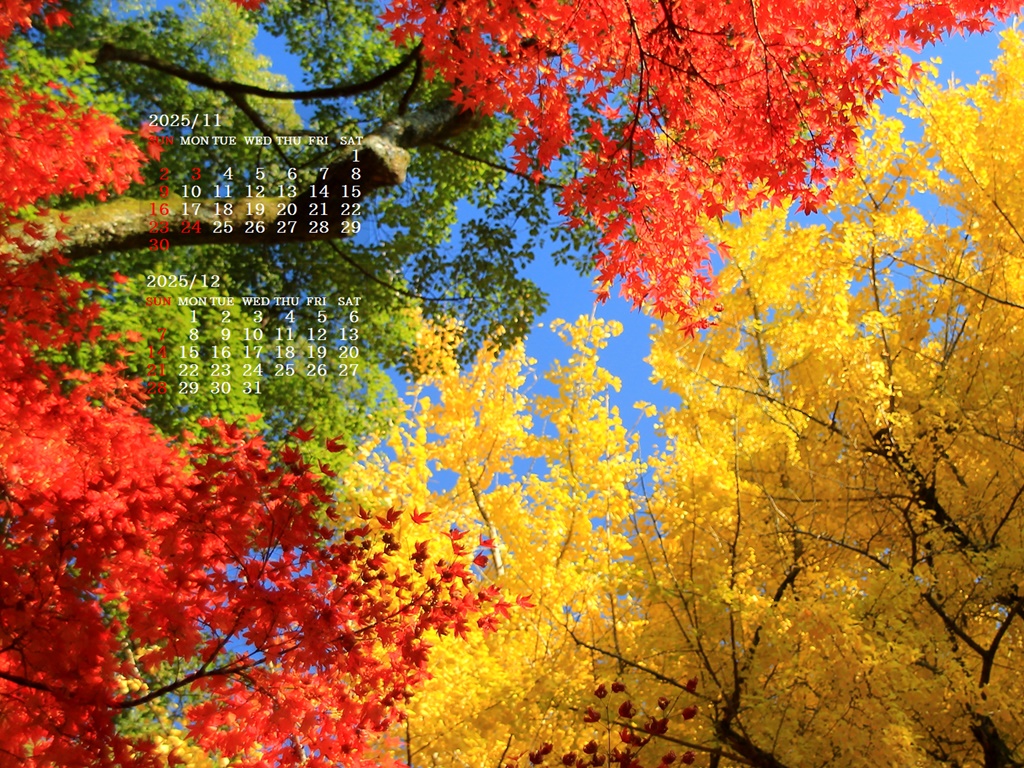 摜̏ŉENbNāuǎɐݒvAj[ɂȂꍇ͂摜ۑĉB