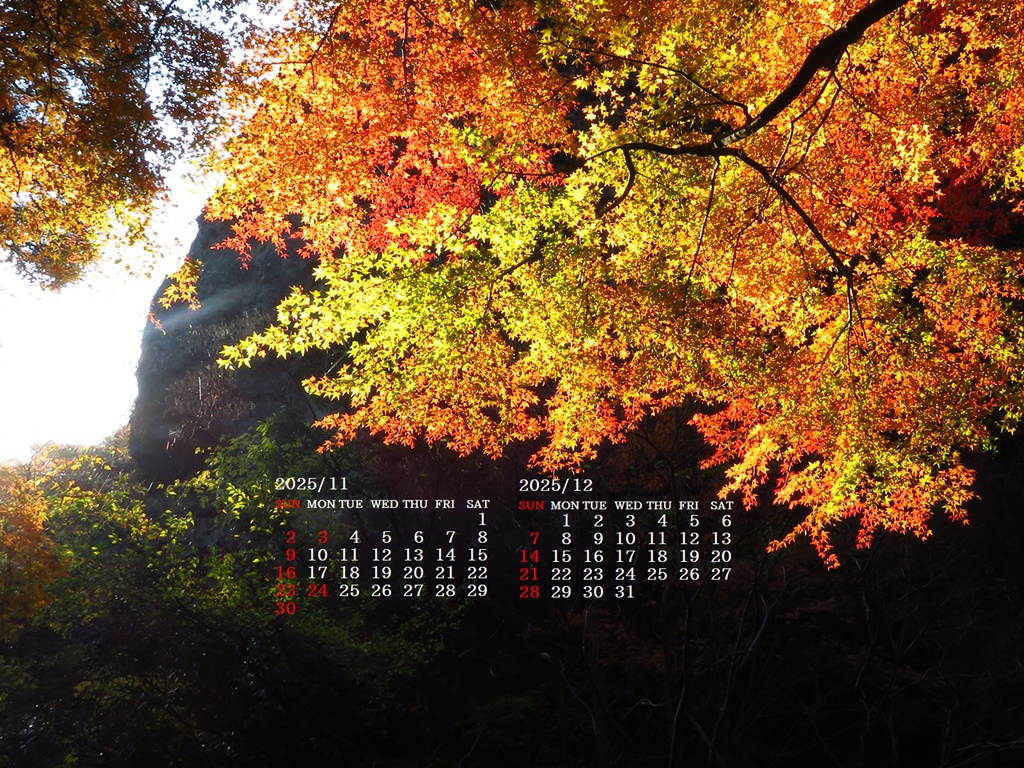 摜̏ŉENbNāuǎɐݒvAj[ɂȂꍇ͂摜ۑĉB