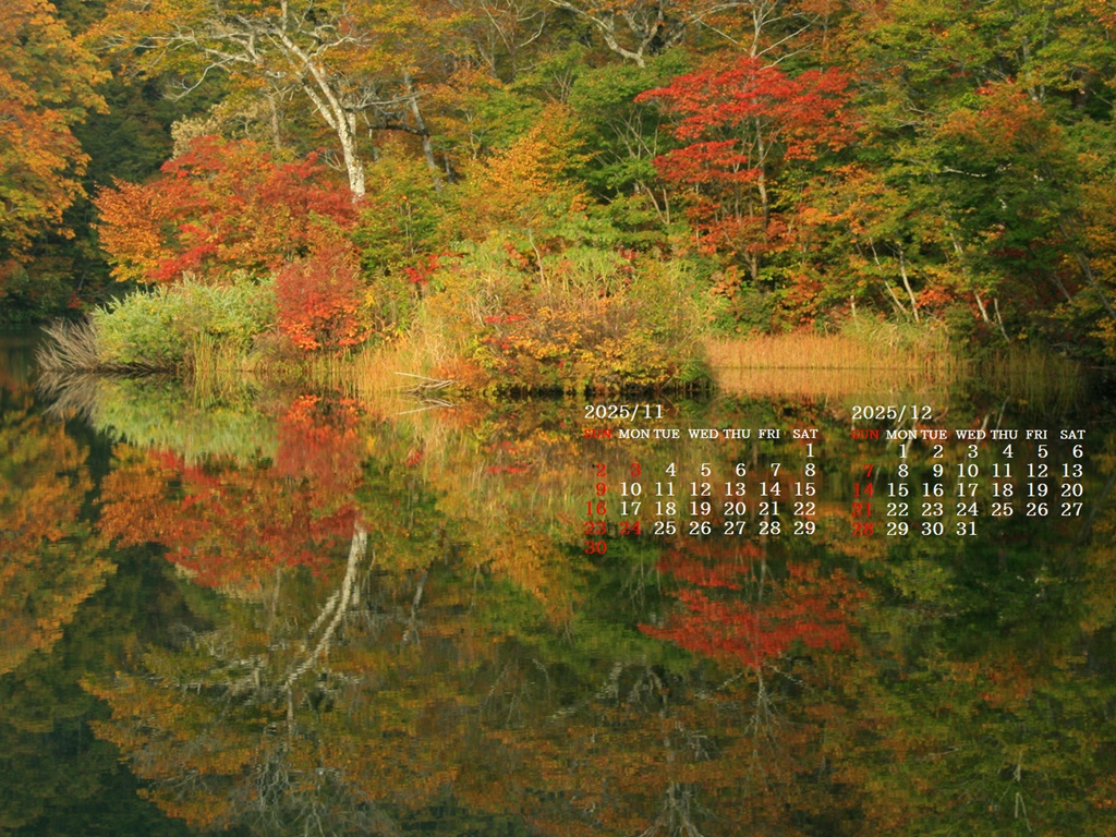 摜̏ŉENbNāuǎɐݒvAj[ɂȂꍇ͂摜ۑĉB