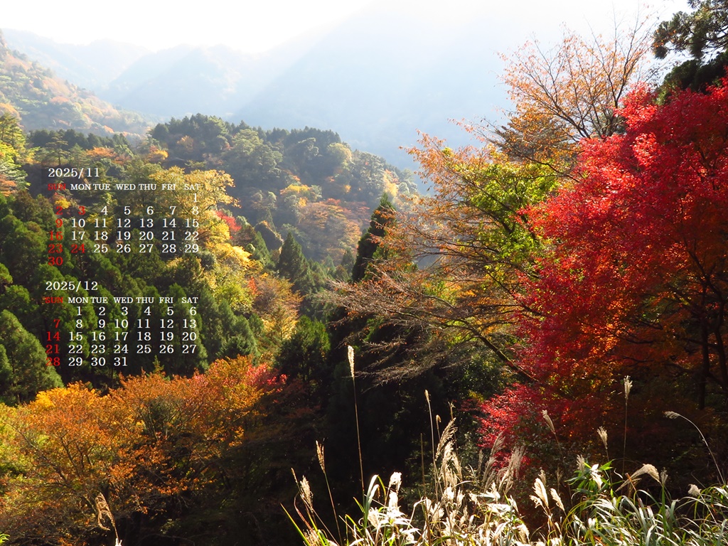 摜̏ŉENbNāuǎɐݒvAj[ɂȂꍇ͂摜ۑĉB