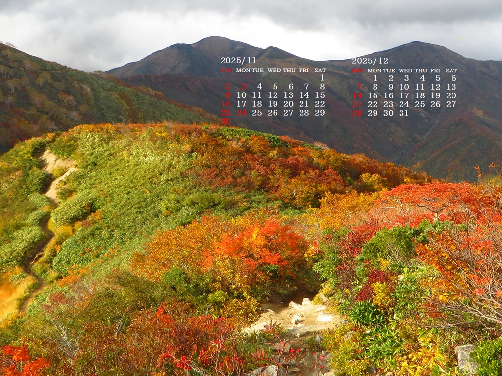 摜̏ŉENbNāuǎɐݒvAj[ɂȂꍇ͂摜ۑĉB