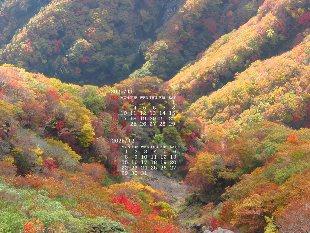 摜̏ŉENbNāuǎɐݒvAj[ɂȂꍇ͂摜ۑĉB