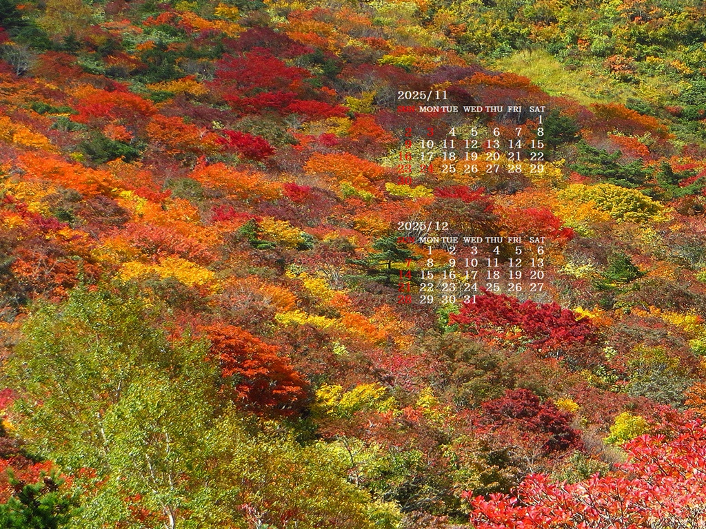 摜̏ŉENbNāuǎɐݒvAj[ɂȂꍇ͂摜ۑĉB