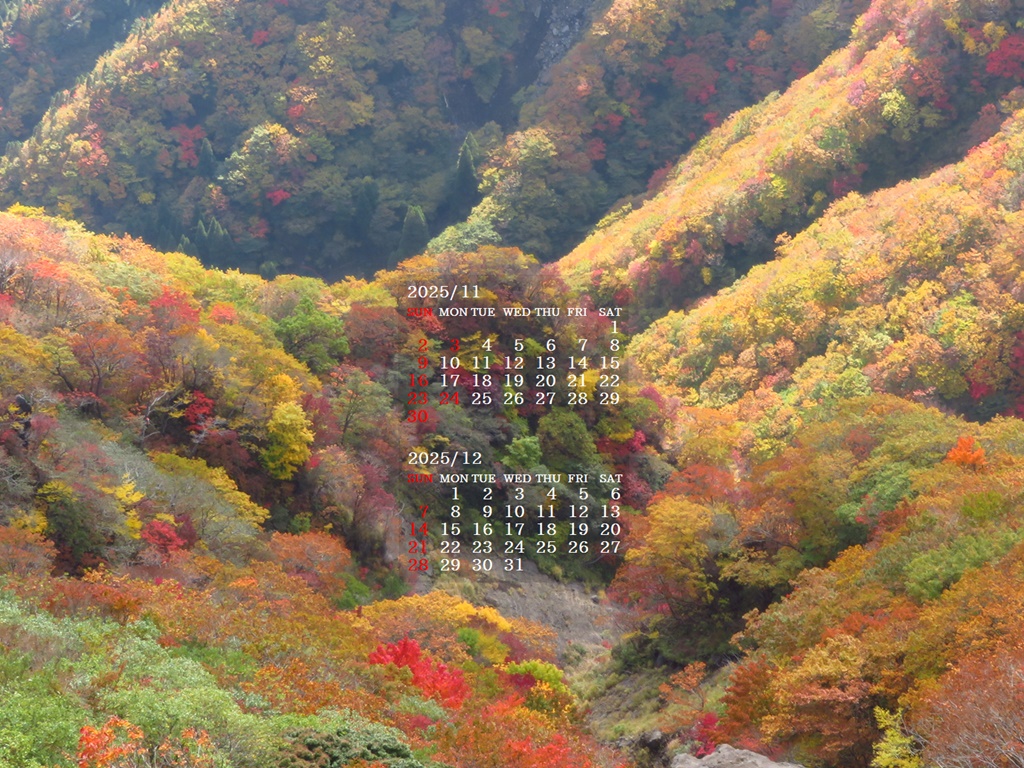 摜̏ŉENbNāuǎɐݒvAj[ɂȂꍇ͂摜ۑĉB