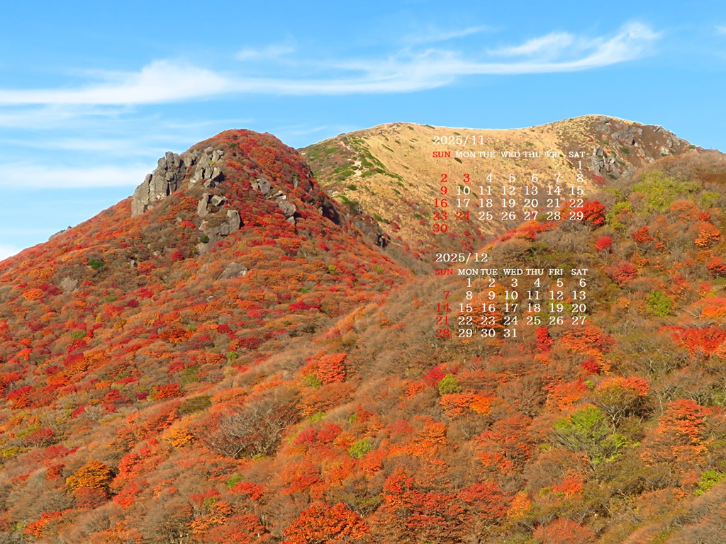 摜̏ŉENbNāuǎɐݒvAj[ɂȂꍇ͂摜ۑĉB