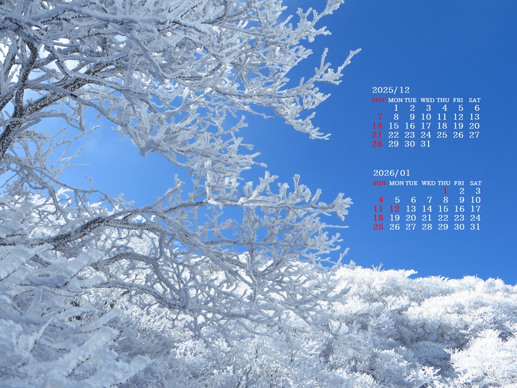 �摜�̏�ŉE�N���b�N���āu�ǎ��ɐݒ�v�A���j���[�ɂȂ��ꍇ�͂�������摜��ۑ����ĉ������B