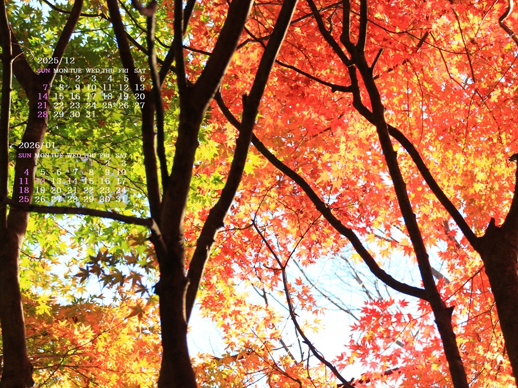 �摜�̏�ŉE�N���b�N���āu�ǎ��ɐݒ�v�A���j���[�ɂȂ��ꍇ�͂�������摜��ۑ����ĉ������B