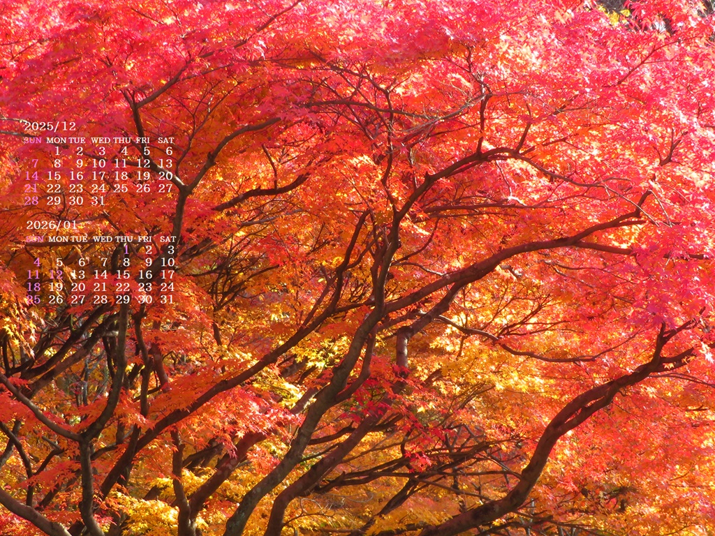 �摜�̏�ŉE�N���b�N���āu�ǎ��ɐݒ�v�A���j���[�ɂȂ��ꍇ�͂�������摜��ۑ����ĉ������B