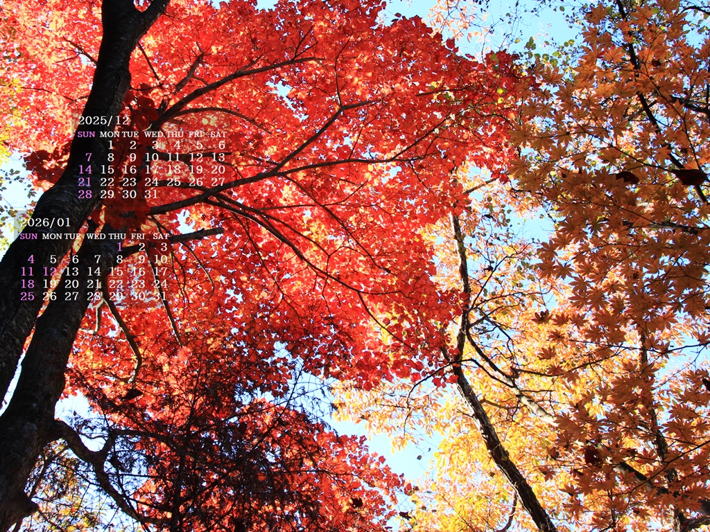 �摜�̏�ŉE�N���b�N���āu�ǎ��ɐݒ�v�A���j���[�ɂȂ��ꍇ�͂�������摜��ۑ����ĉ������B