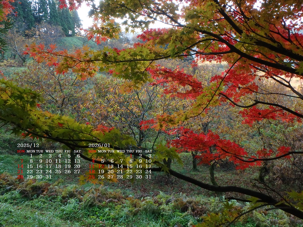 �摜�̏�ŉE�N���b�N���āu�ǎ��ɐݒ�v�A���j���[�ɂȂ��ꍇ�͂�������摜��ۑ����ĉ������B