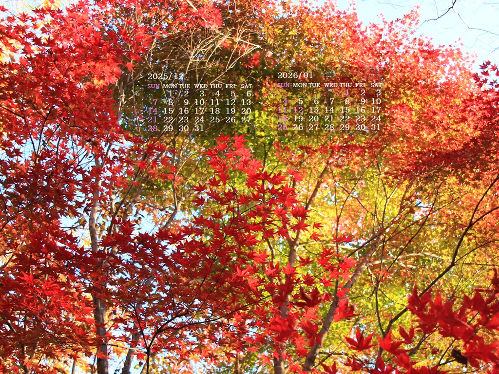 �摜�̏�ŉE�N���b�N���āu�ǎ��ɐݒ�v�A���j���[�ɂȂ��ꍇ�͂�������摜��ۑ����ĉ������B