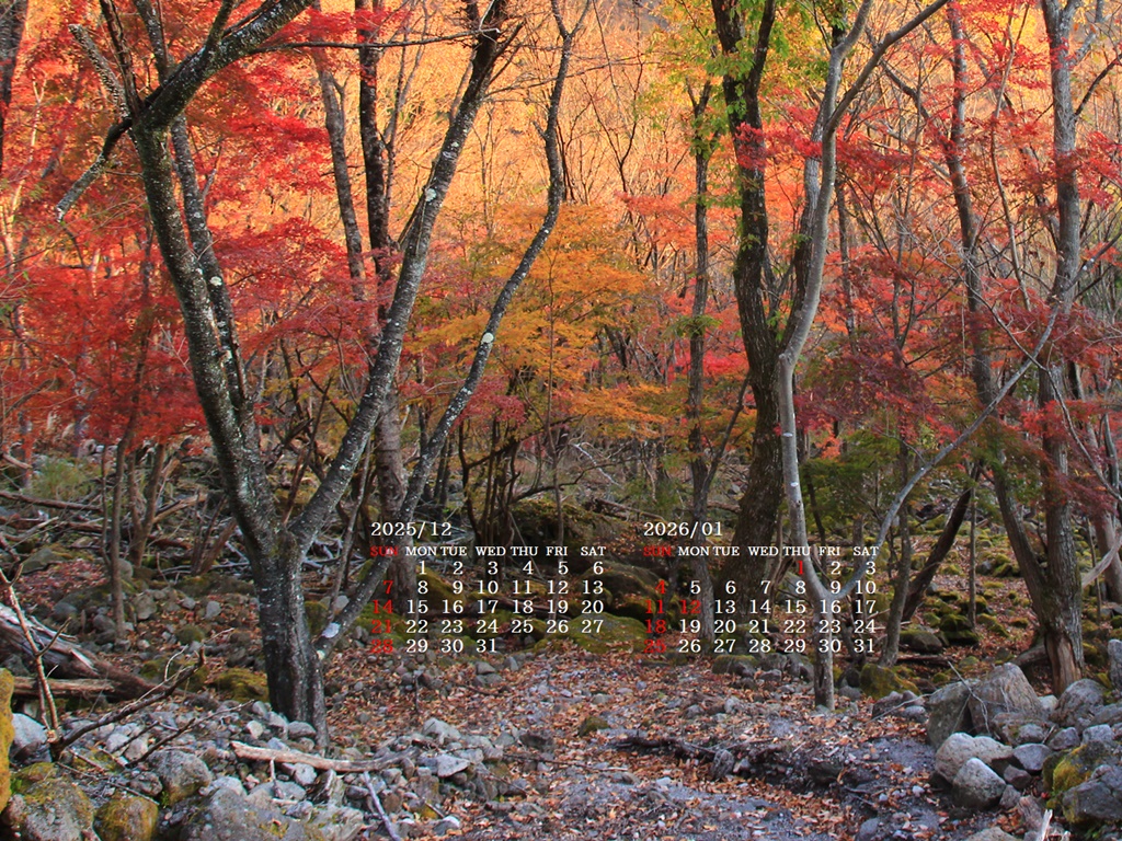 �摜�̏�ŉE�N���b�N���āu�ǎ��ɐݒ�v�A���j���[�ɂȂ��ꍇ�͂�������摜��ۑ����ĉ������B