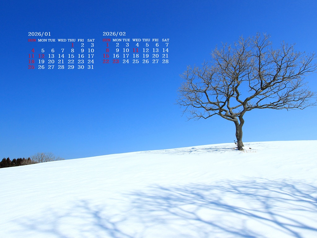 �摜�̏�ŉE�N���b�N���āu�ǎ��ɐݒ�v�A���j���[�ɂȂ��ꍇ�͂�������摜��ۑ����ĉ������B