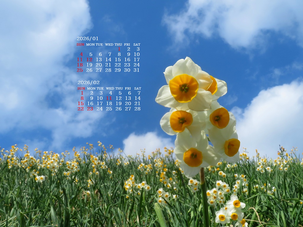 �摜�̏�ŉE�N���b�N���āu�ǎ��ɐݒ�v�A���j���[�ɂȂ��ꍇ�͂�������摜��ۑ����ĉ������B