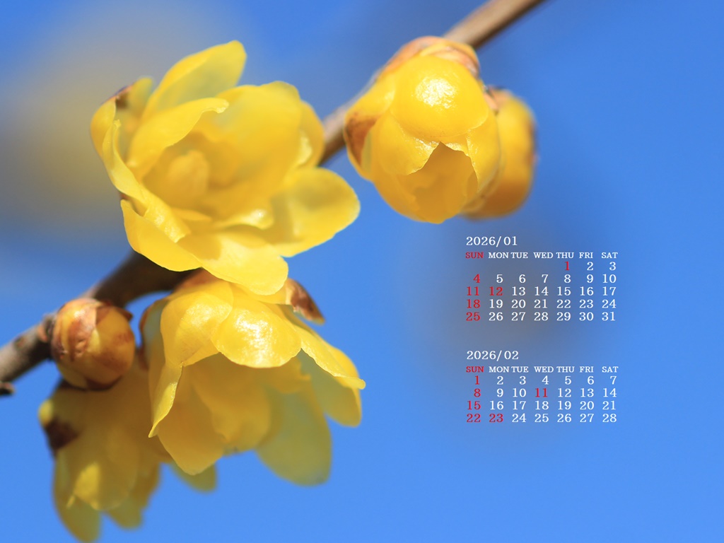 �摜�̏�ŉE�N���b�N���āu�ǎ��ɐݒ�v�A���j���[�ɂȂ��ꍇ�͂�������摜��ۑ����ĉ������B