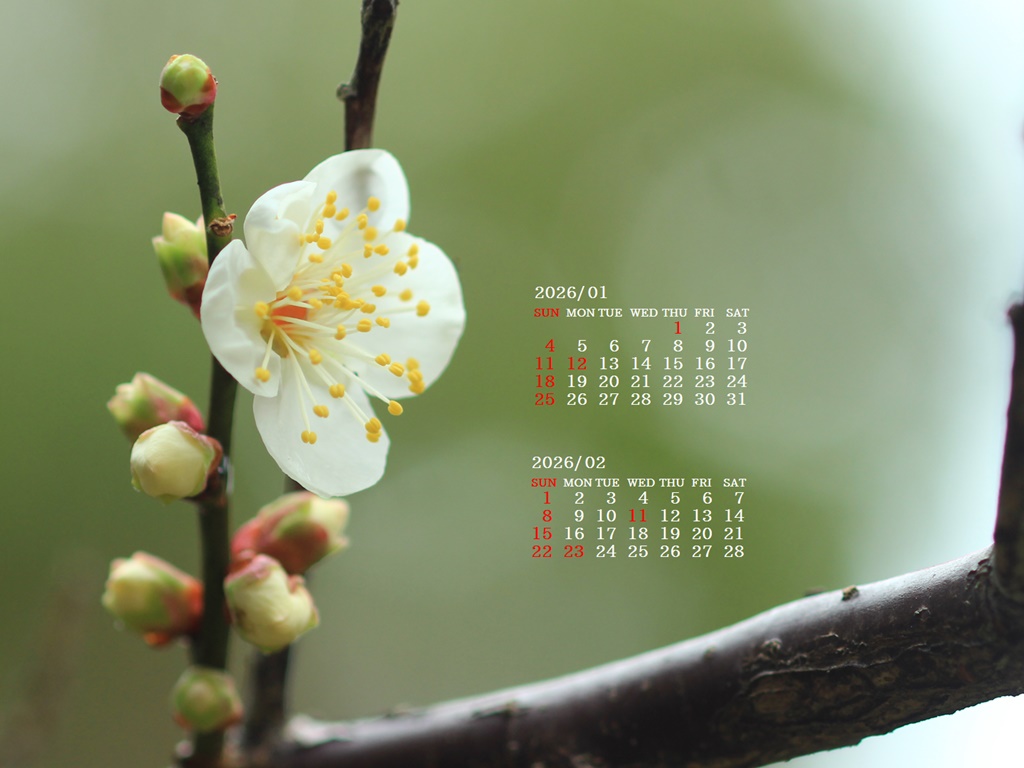 �摜�̏�ŉE�N���b�N���āu�ǎ��ɐݒ�v�A���j���[�ɂȂ��ꍇ�͂�������摜��ۑ����ĉ������B