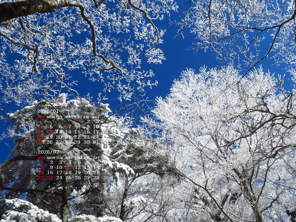 �摜�̏�ŉE�N���b�N���āu�ǎ��ɐݒ�v�A���j���[�ɂȂ��ꍇ�͂�������摜��ۑ����ĉ������B