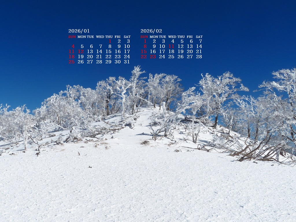 �摜�̏�ŉE�N���b�N���āu�ǎ��ɐݒ�v�A���j���[�ɂȂ��ꍇ�͂�������摜��ۑ����ĉ������B