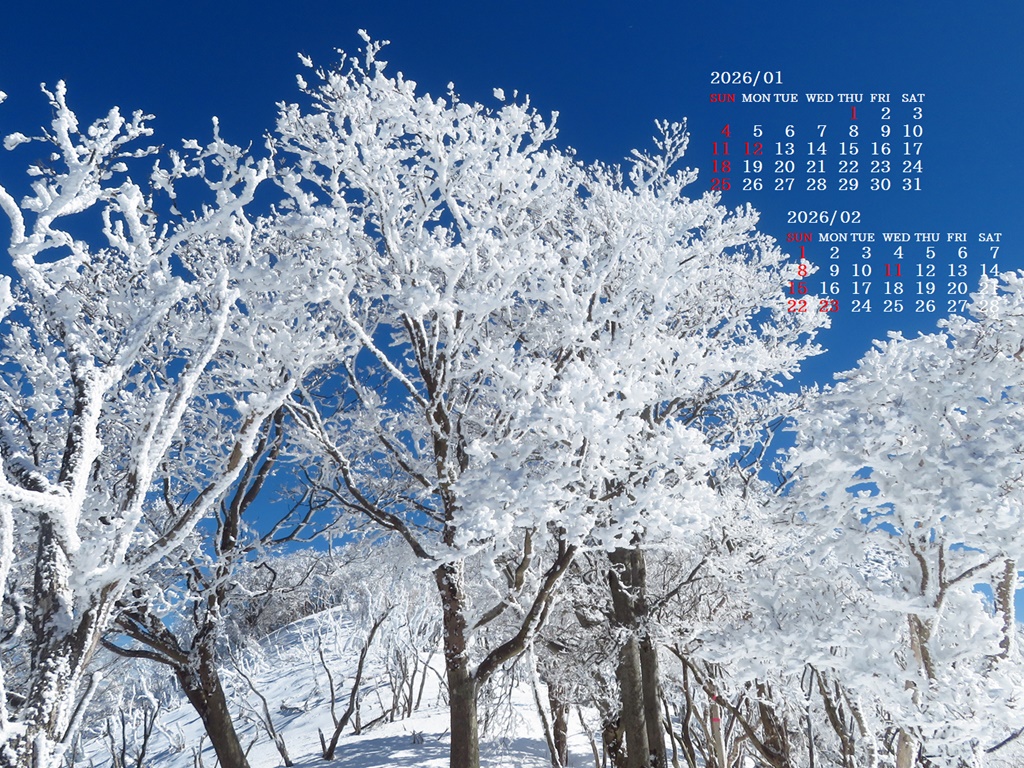 �摜�̏�ŉE�N���b�N���āu�ǎ��ɐݒ�v�A���j���[�ɂȂ��ꍇ�͂�������摜��ۑ����ĉ������B