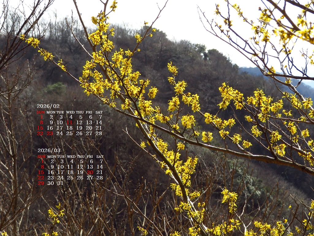 �摜�̏�ŉE�N���b�N���āu�ǎ��ɐݒ�v�A���j���[�ɂȂ��ꍇ�͂�������摜��ۑ����ĉ������B