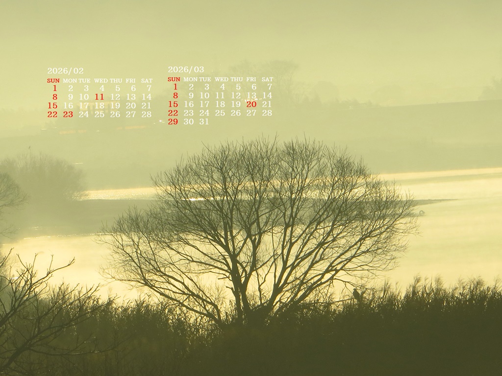 �摜�̏�ŉE�N���b�N���āu�ǎ��ɐݒ�v�A���j���[�ɂȂ��ꍇ�͂�������摜��ۑ����ĉ������B