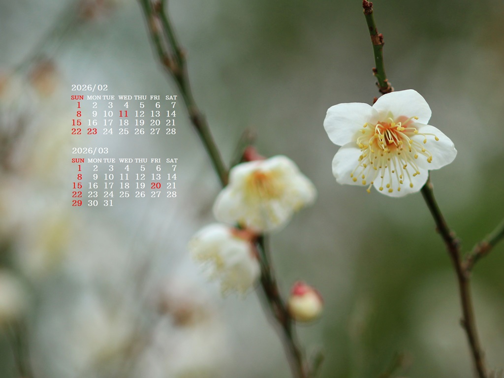 �摜�̏�ŉE�N���b�N���āu�ǎ��ɐݒ�v�A���j���[�ɂȂ��ꍇ�͂�������摜��ۑ����ĉ������B