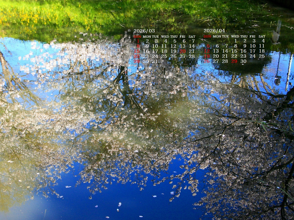 �摜�̏�ŉE�N���b�N���āu�ǎ��ɐݒ�v�A���j���[�ɂȂ��ꍇ�͂�������摜��ۑ����ĉ������B