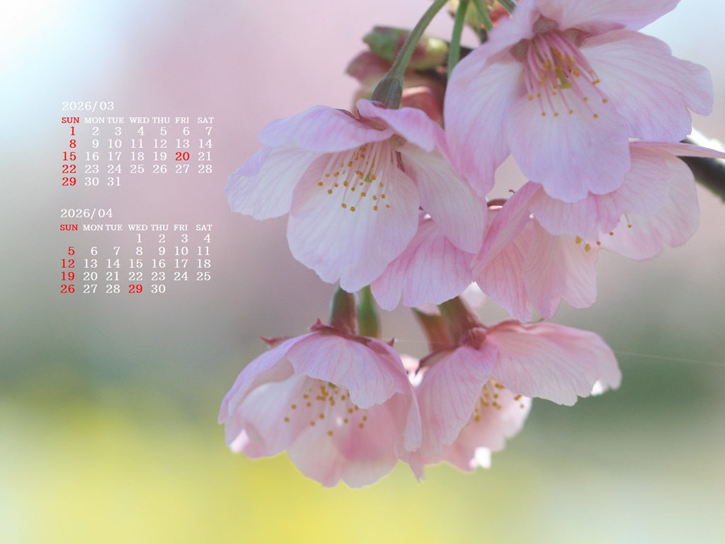 �摜�̏�ŉE�N���b�N���āu�ǎ��ɐݒ�v�A���j���[�ɂȂ��ꍇ�͂�������摜��ۑ����ĉ������B