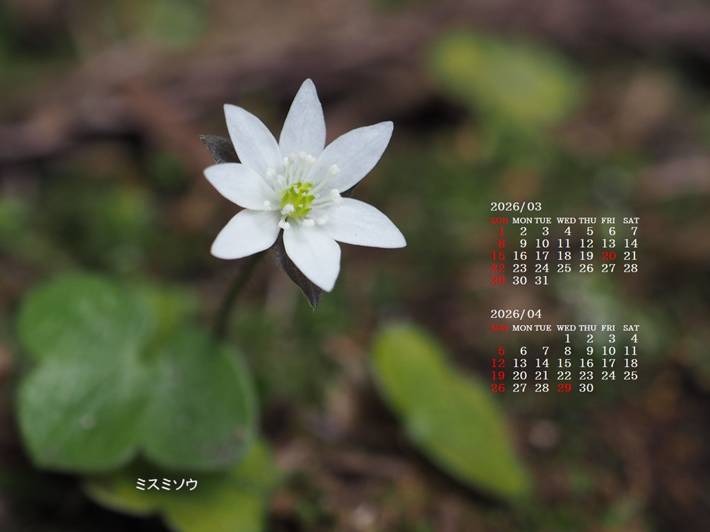 �摜�̏�ŉE�N���b�N���āu�ǎ��ɐݒ�v�A���j���[�ɂȂ��ꍇ�͂�������摜��ۑ����ĉ������B