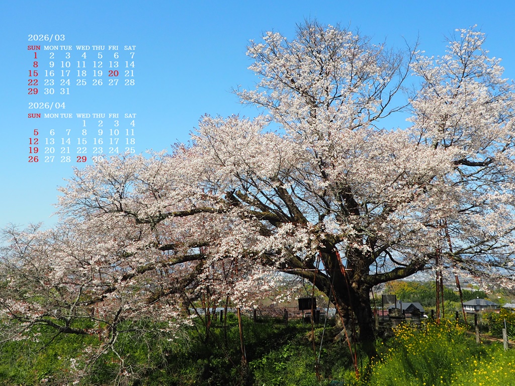 �摜�̏�ŉE�N���b�N���āu�ǎ��ɐݒ�v�A���j���[�ɂȂ��ꍇ�͂�������摜��ۑ����ĉ������B