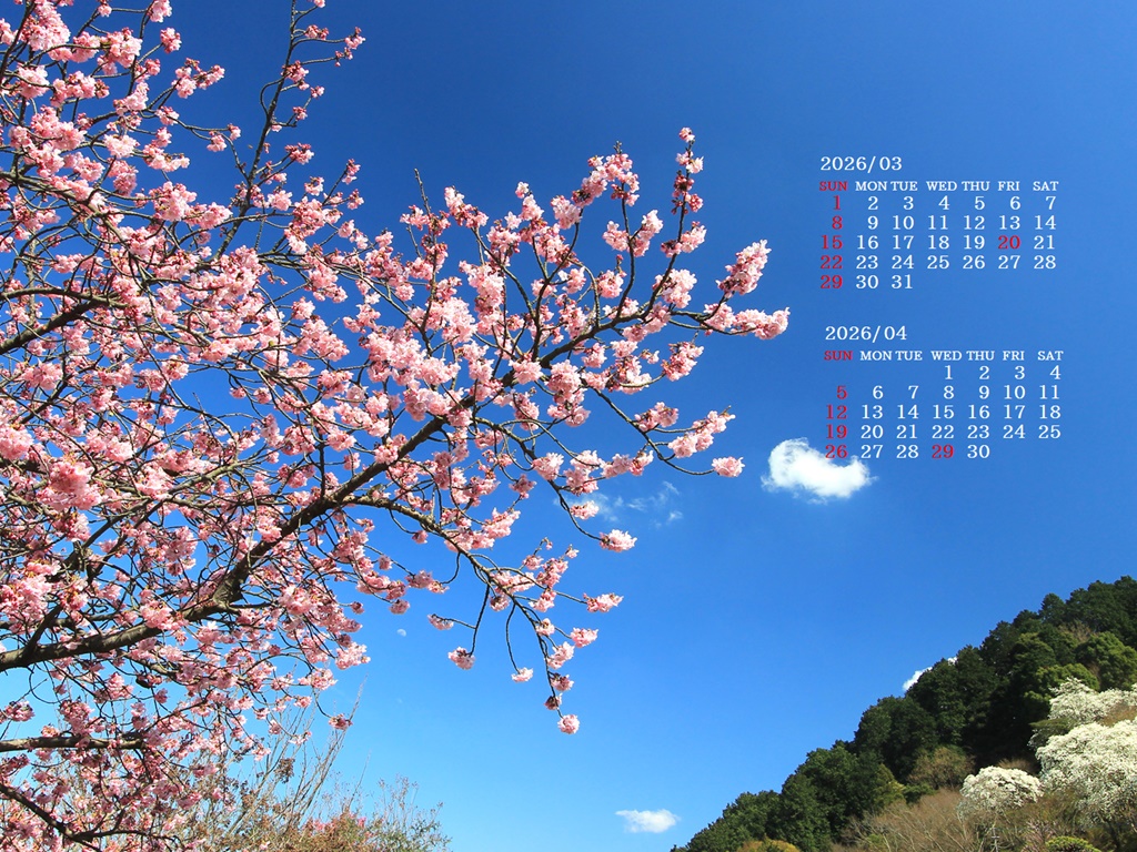 �摜�̏�ŉE�N���b�N���āu�ǎ��ɐݒ�v�A���j���[�ɂȂ��ꍇ�͂�������摜��ۑ����ĉ������B