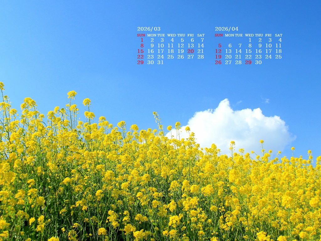 �摜�̏�ŉE�N���b�N���āu�ǎ��ɐݒ�v�A���j���[�ɂȂ��ꍇ�͂�������摜��ۑ����ĉ������B