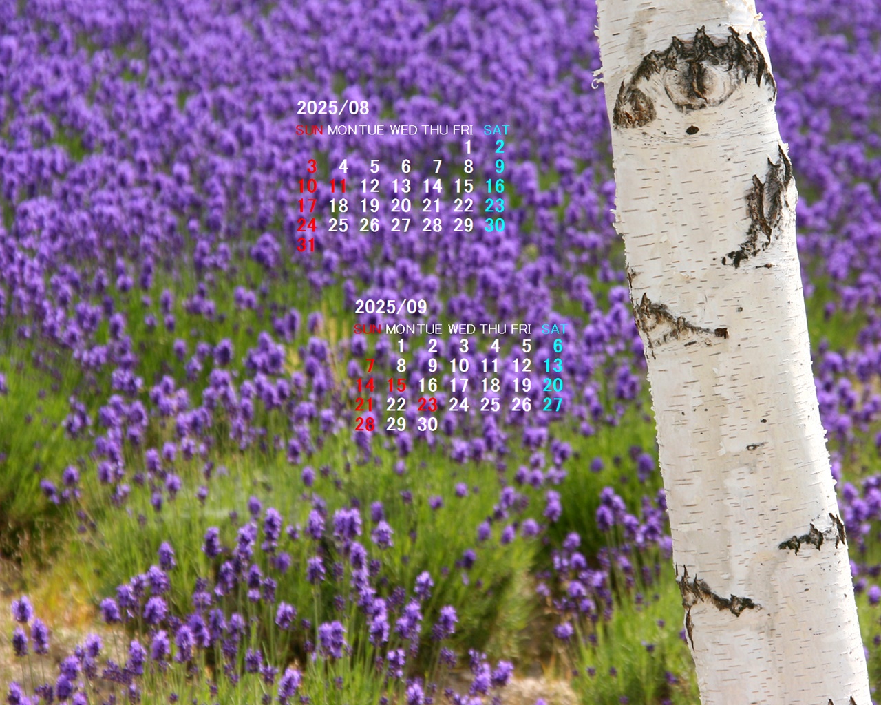 摜̏ŉENbNāuǎɐݒvAj[ɂȂꍇ͂摜ۑĉB