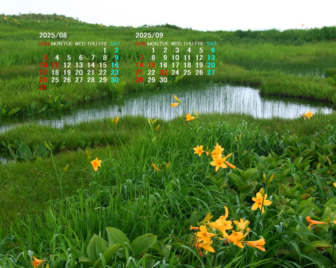 摜̏ŉENbNāuǎɐݒvAj[ɂȂꍇ͂摜ۑĉB