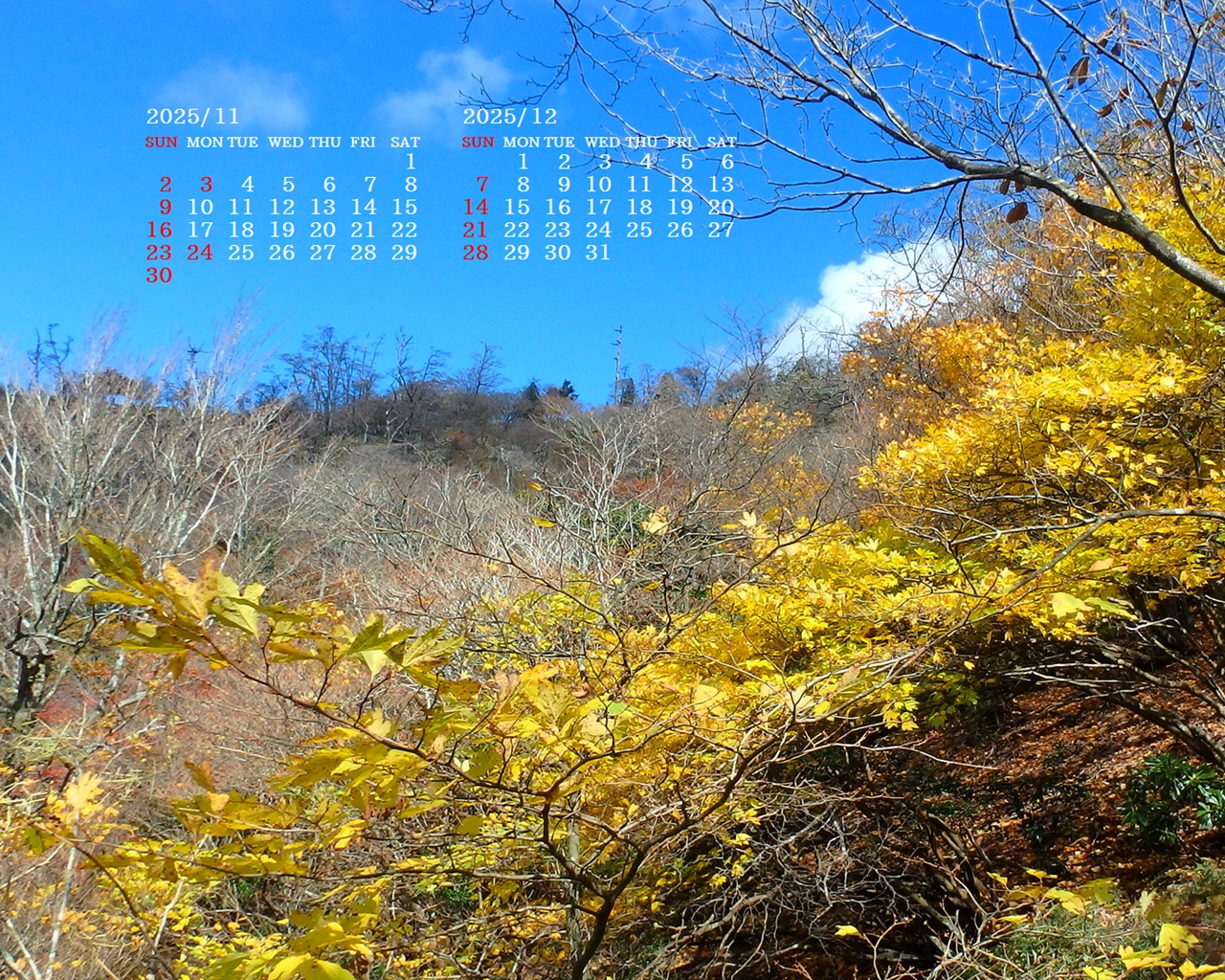 摜̏ŉENbNāuǎɐݒvAj[ɂȂꍇ͂摜ۑĉB