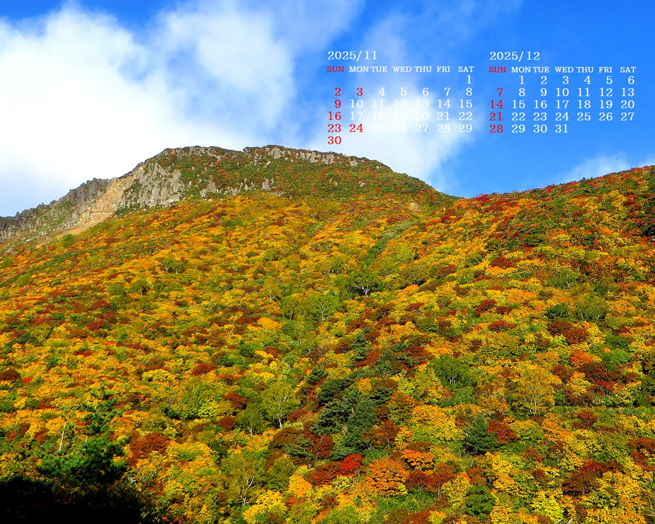 摜̏ŉENbNāuǎɐݒvAj[ɂȂꍇ͂摜ۑĉB