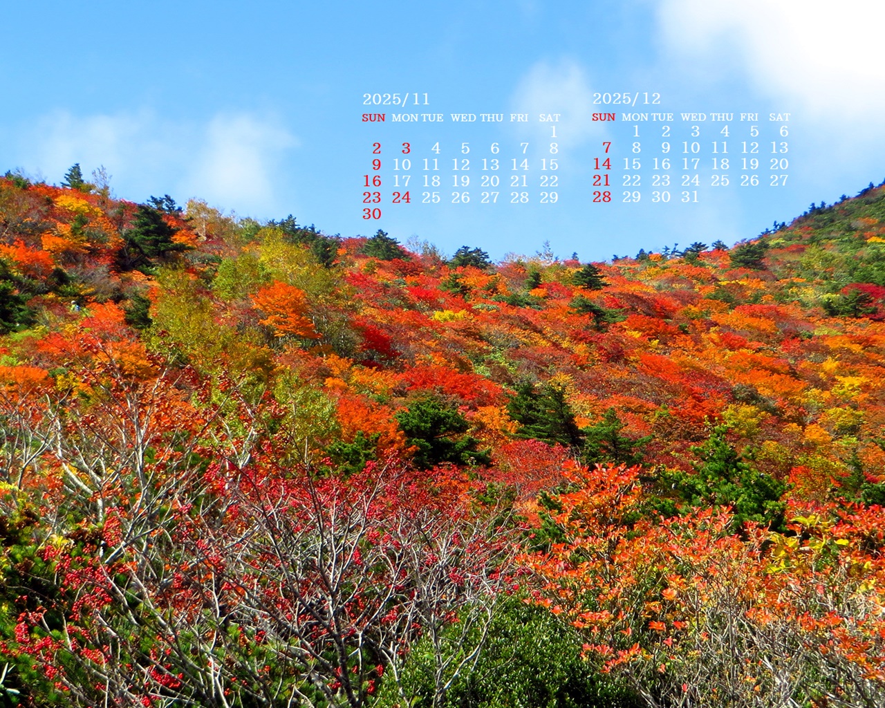 摜̏ŉENbNāuǎɐݒvAj[ɂȂꍇ͂摜ۑĉB